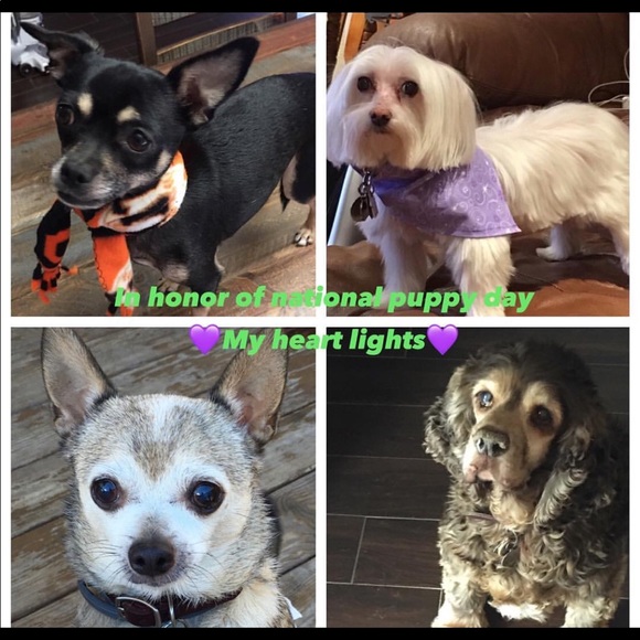 Meet your Posher, C - Picture 5 of 8